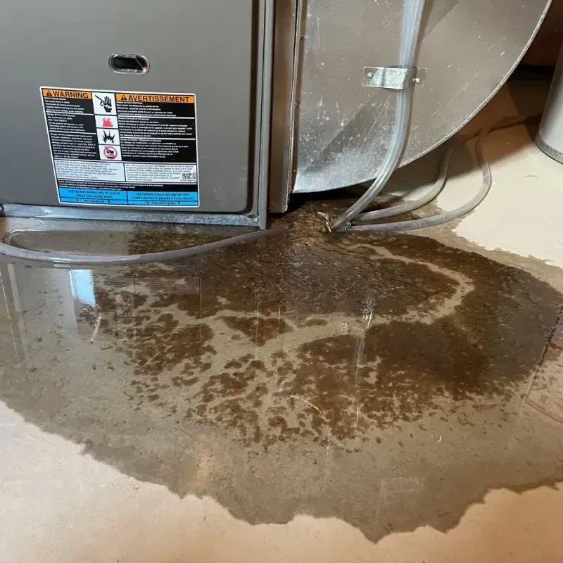 Appliance Leak Cleanup in Raubsville, PA